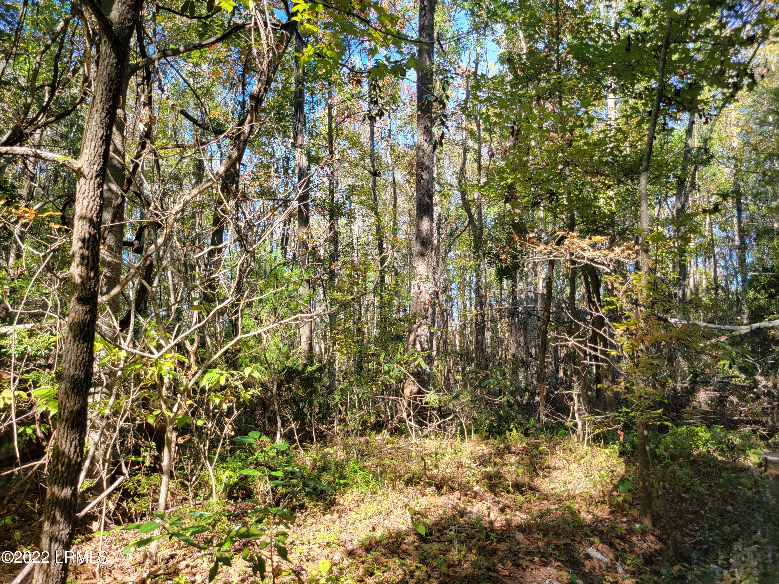 67 Holly Hall Road, Unit A Beaufort, SC 29907 - Photo 6 of 11 20221025_152655