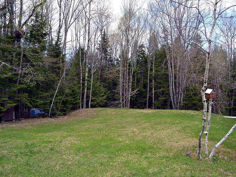 367 Number 9 Road Orient, ME 04471 - Photo 5 of 35 Yard/Garden.