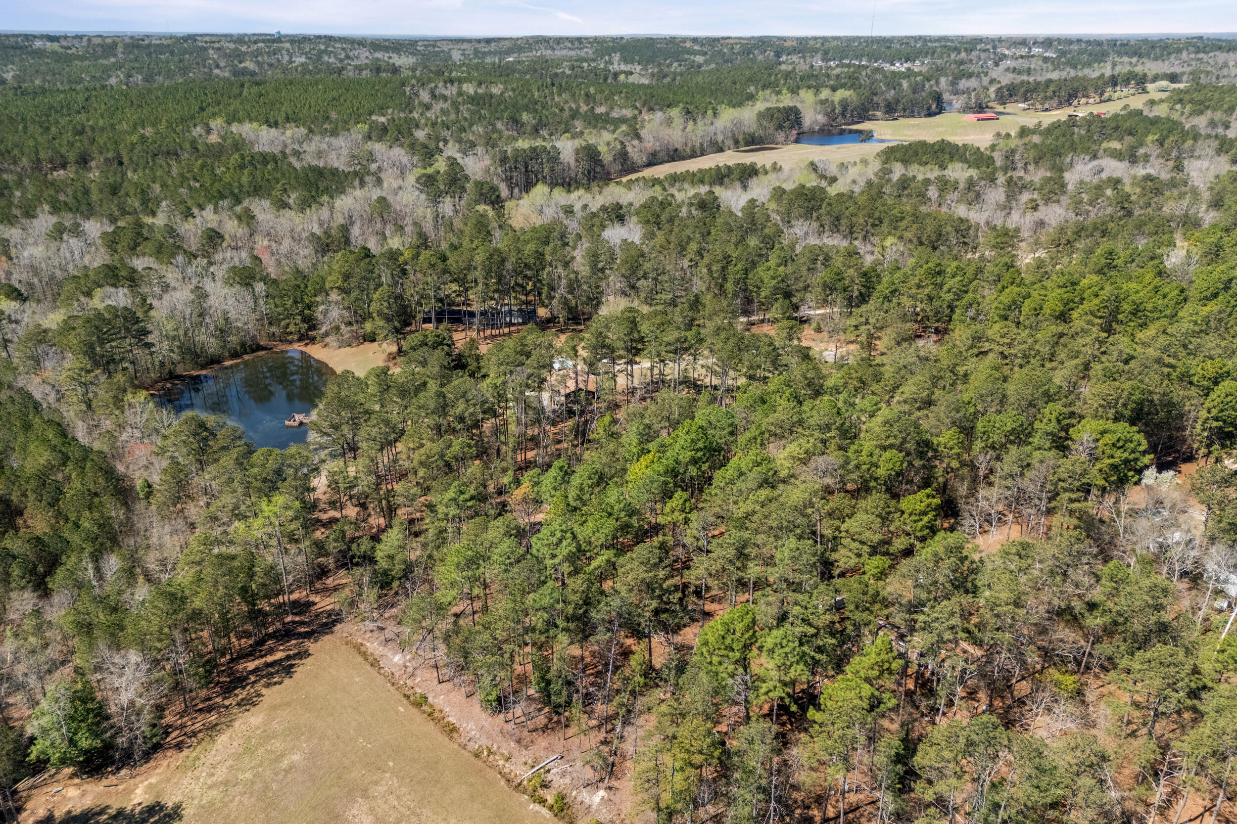 317 Square Circle Road Graniteville, SC 29829 - Photo 55 of 58 2026-03-13_317_square_circle_rd-srm-54-d