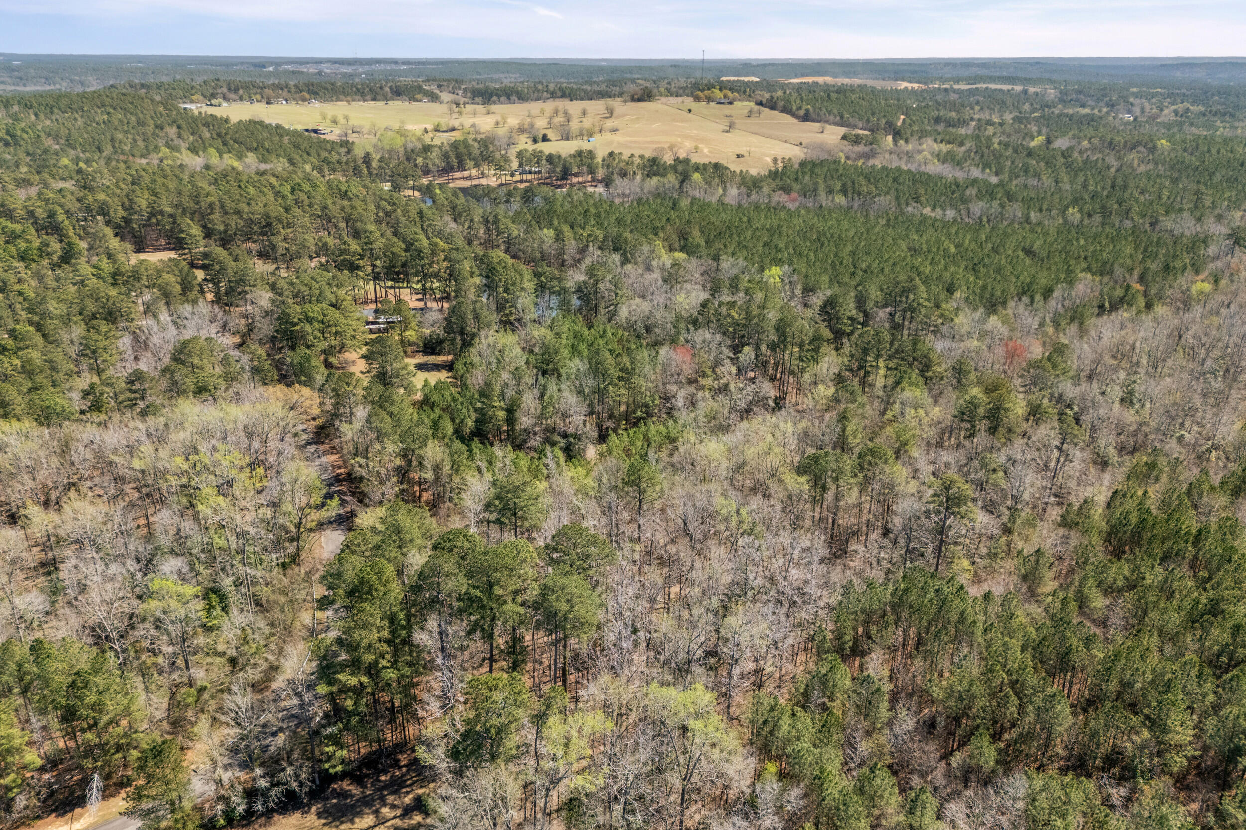 317 Square Circle Road Graniteville, SC 29829 - Photo 57 of 58 2026-03-13_317_square_circle_rd-srm-56-d