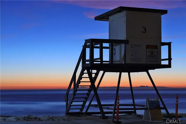 a view of a palm tree with sky view