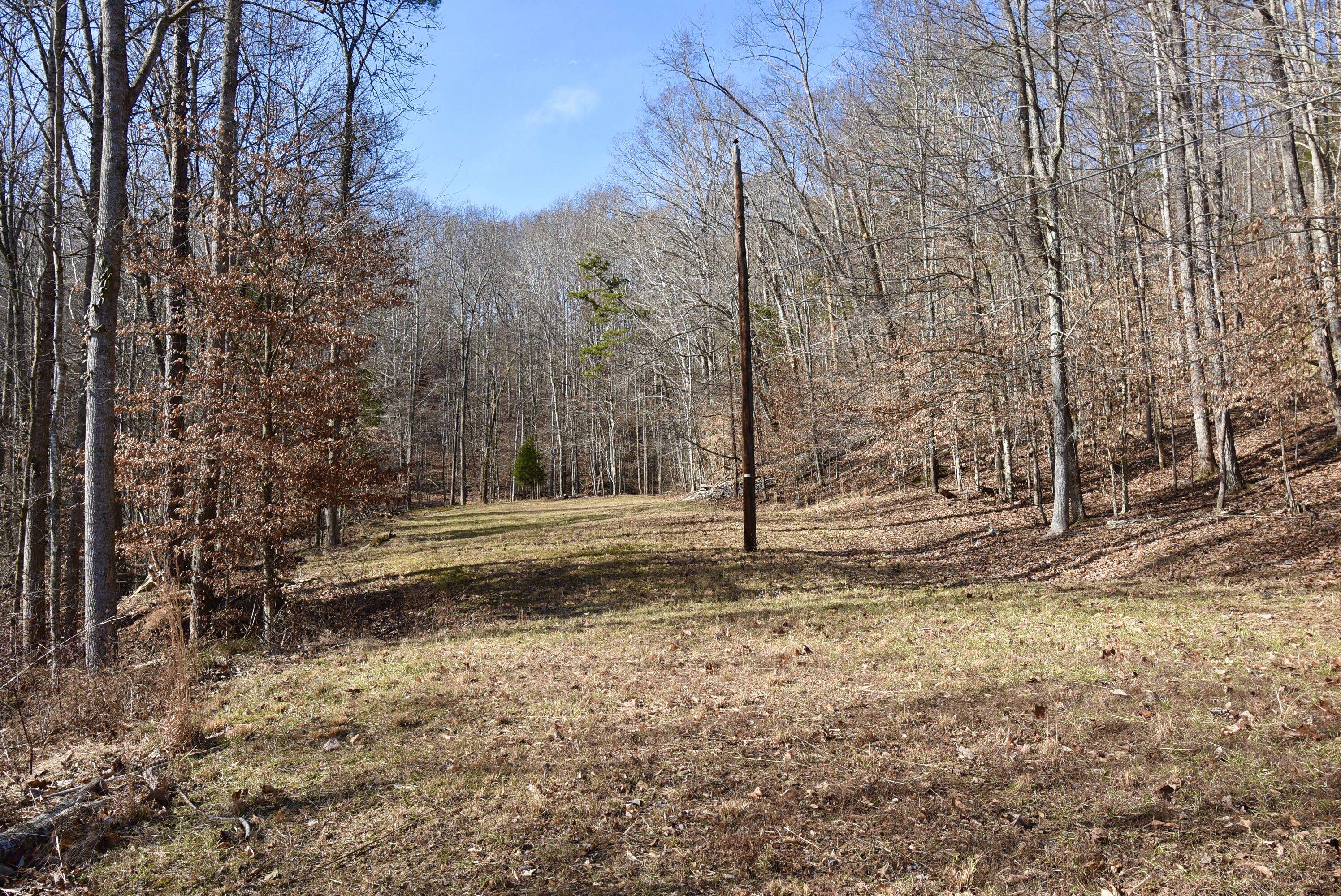 475 Harmon Road Somerset, KY 42501 - Photo 26 of 48 311DA820-ACAC-45CF-9F44-DA5BFC6F4735_1_2