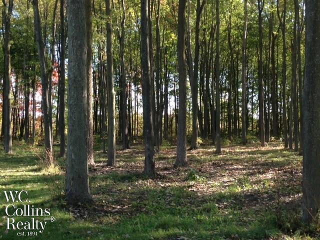 8732 Lashbrook Road Goodells, MI 48027 - Photo 74 of 74