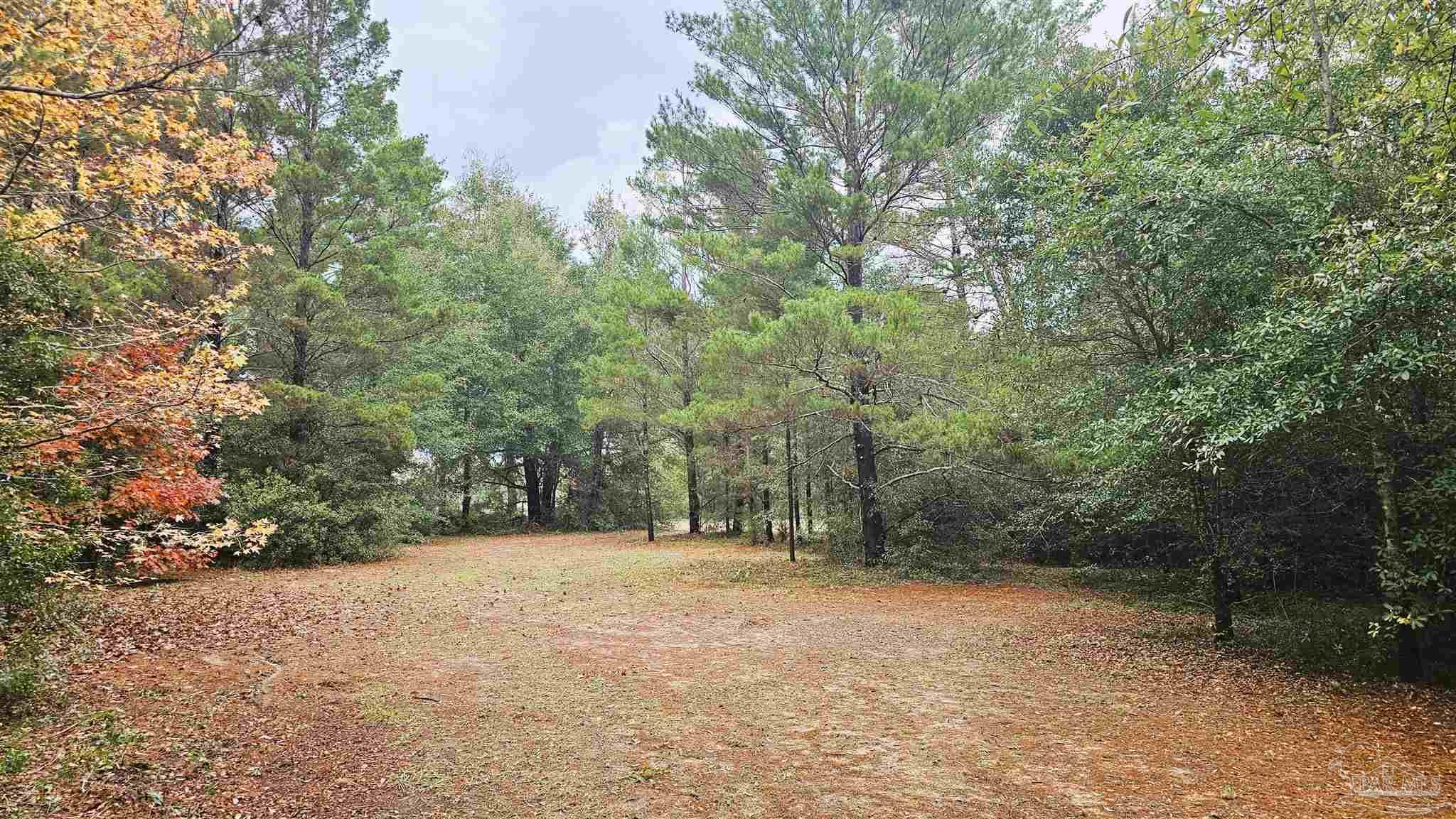 0 Oglesby Road Milton, FL 32570 - Photo 11 of 28 Gallery Image 11