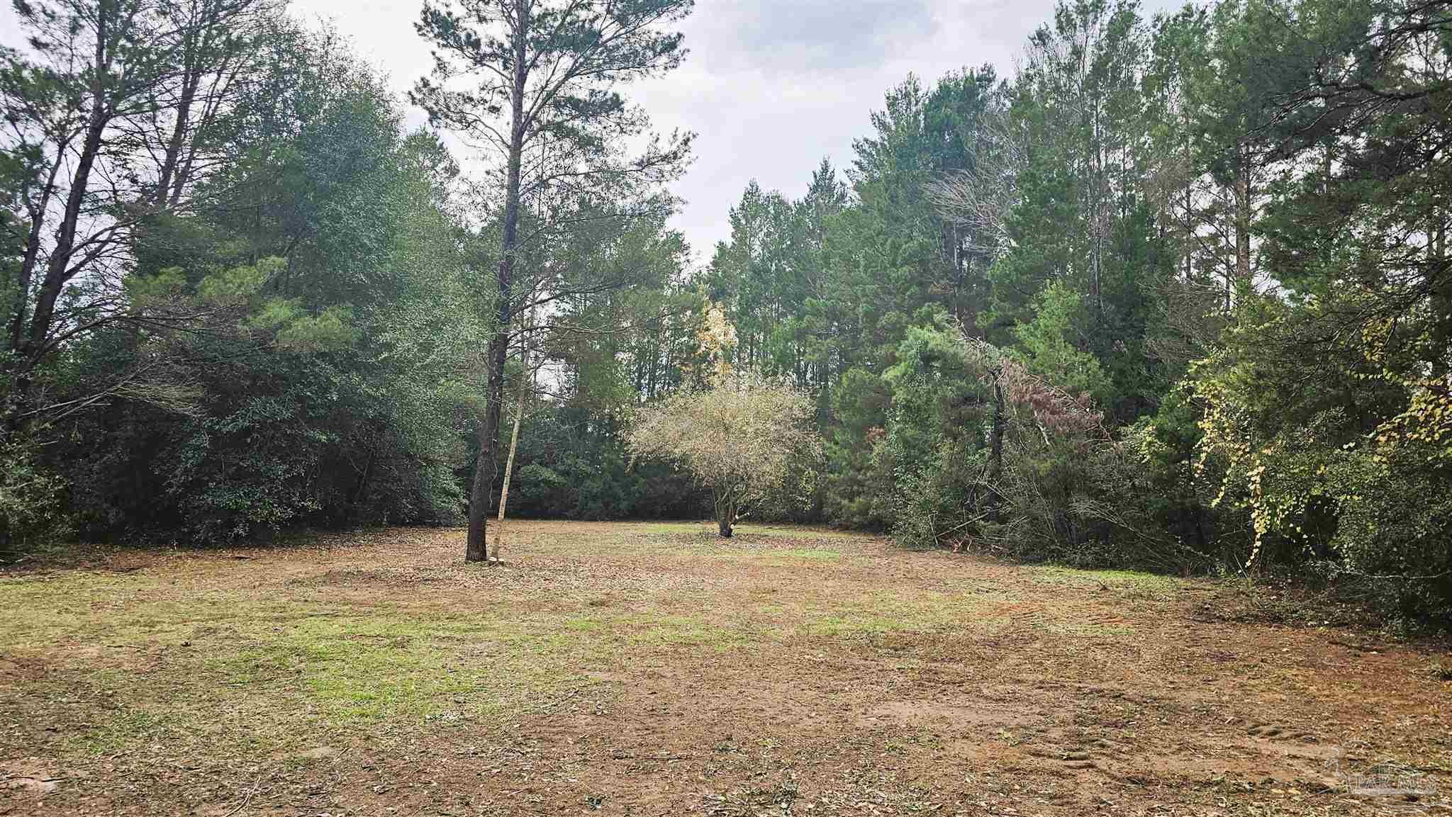 0 Oglesby Road Milton, FL 32570 - Photo 13 of 28 Gallery Image 13