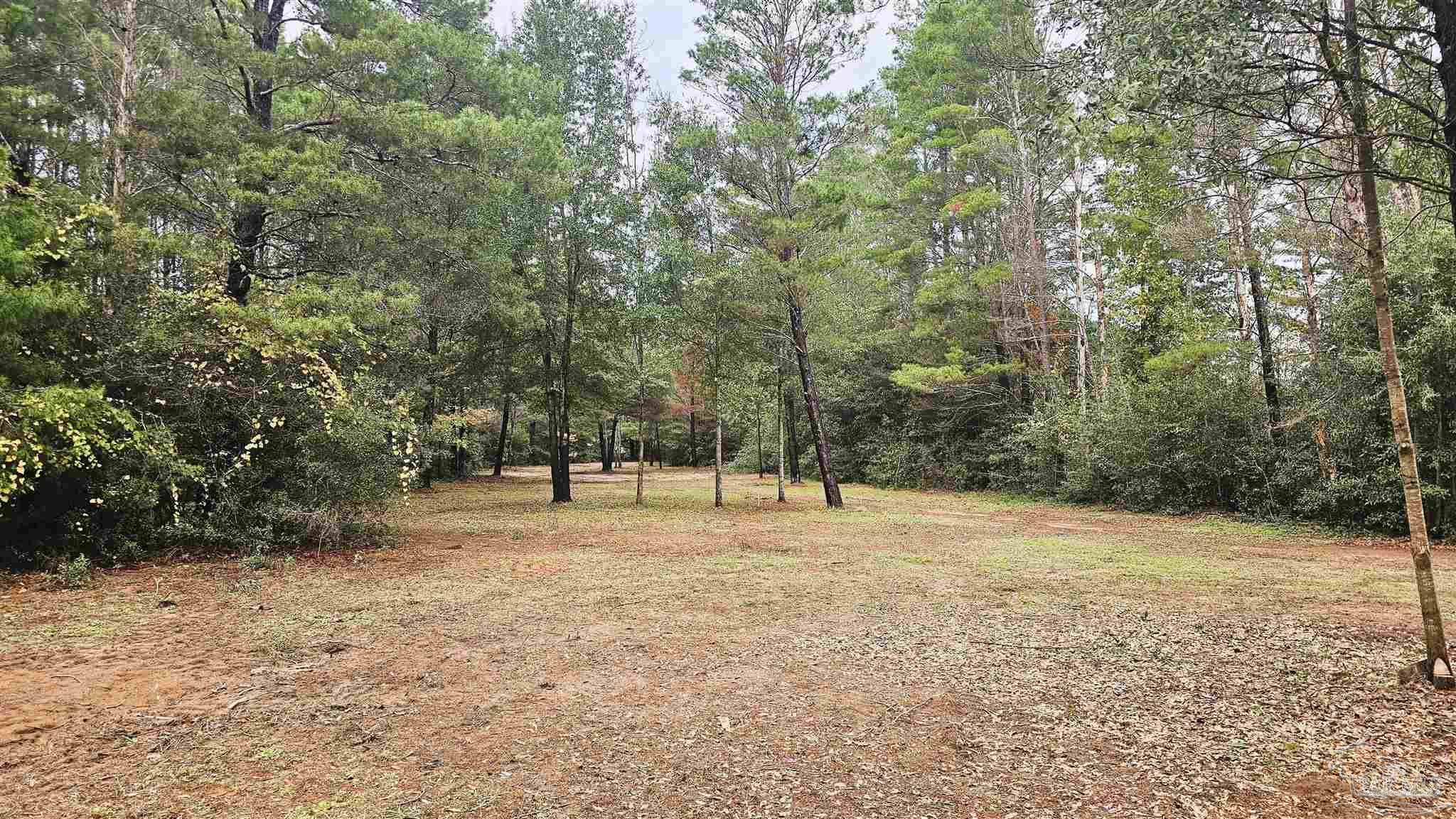 0 Oglesby Road Milton, FL 32570 - Photo 14 of 28 Gallery Image 14