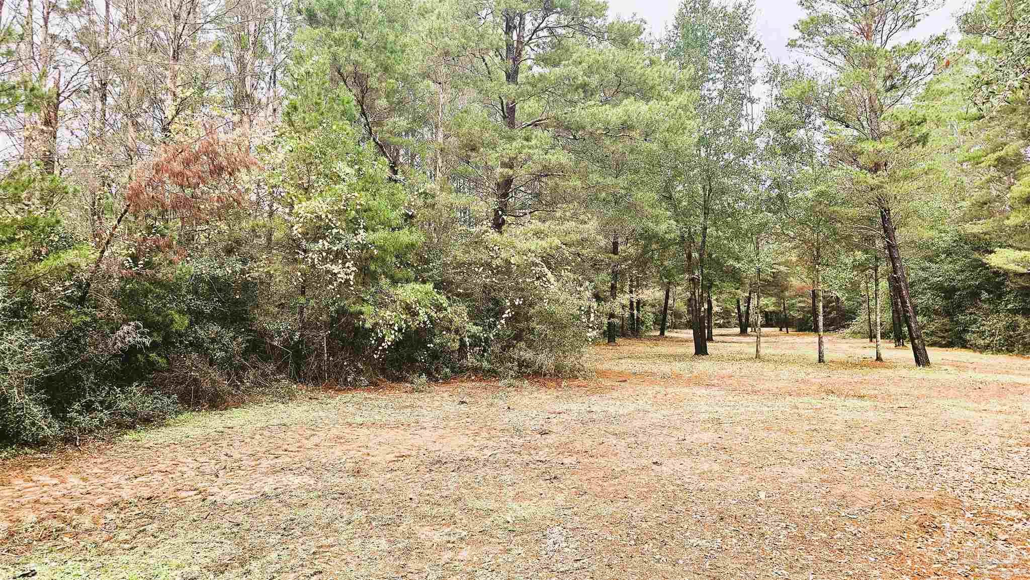 0 Oglesby Road Milton, FL 32570 - Photo 17 of 28 Gallery Image 17