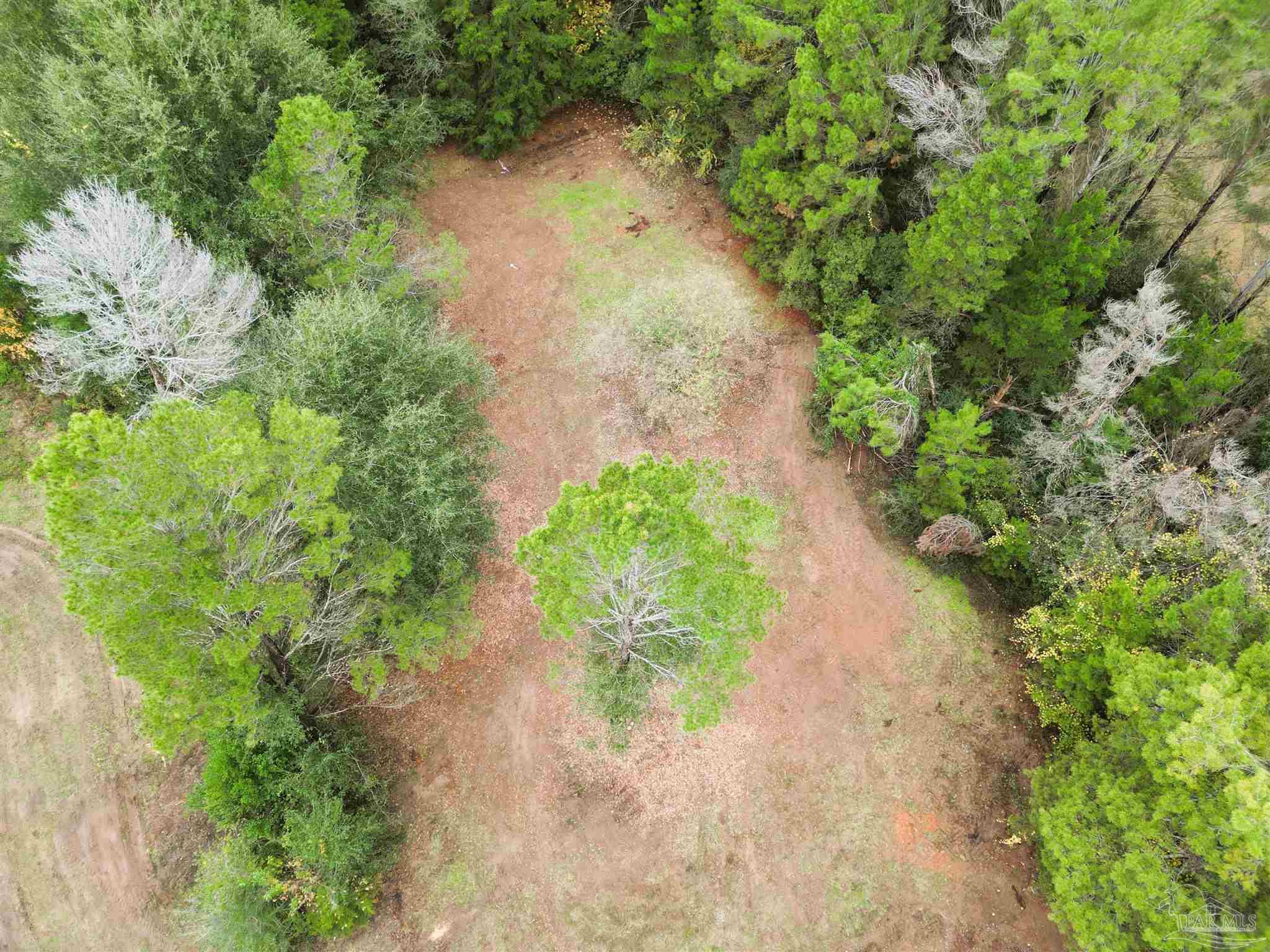 0 Oglesby Road Milton, FL 32570 - Photo 19 of 28 Gallery Image 19