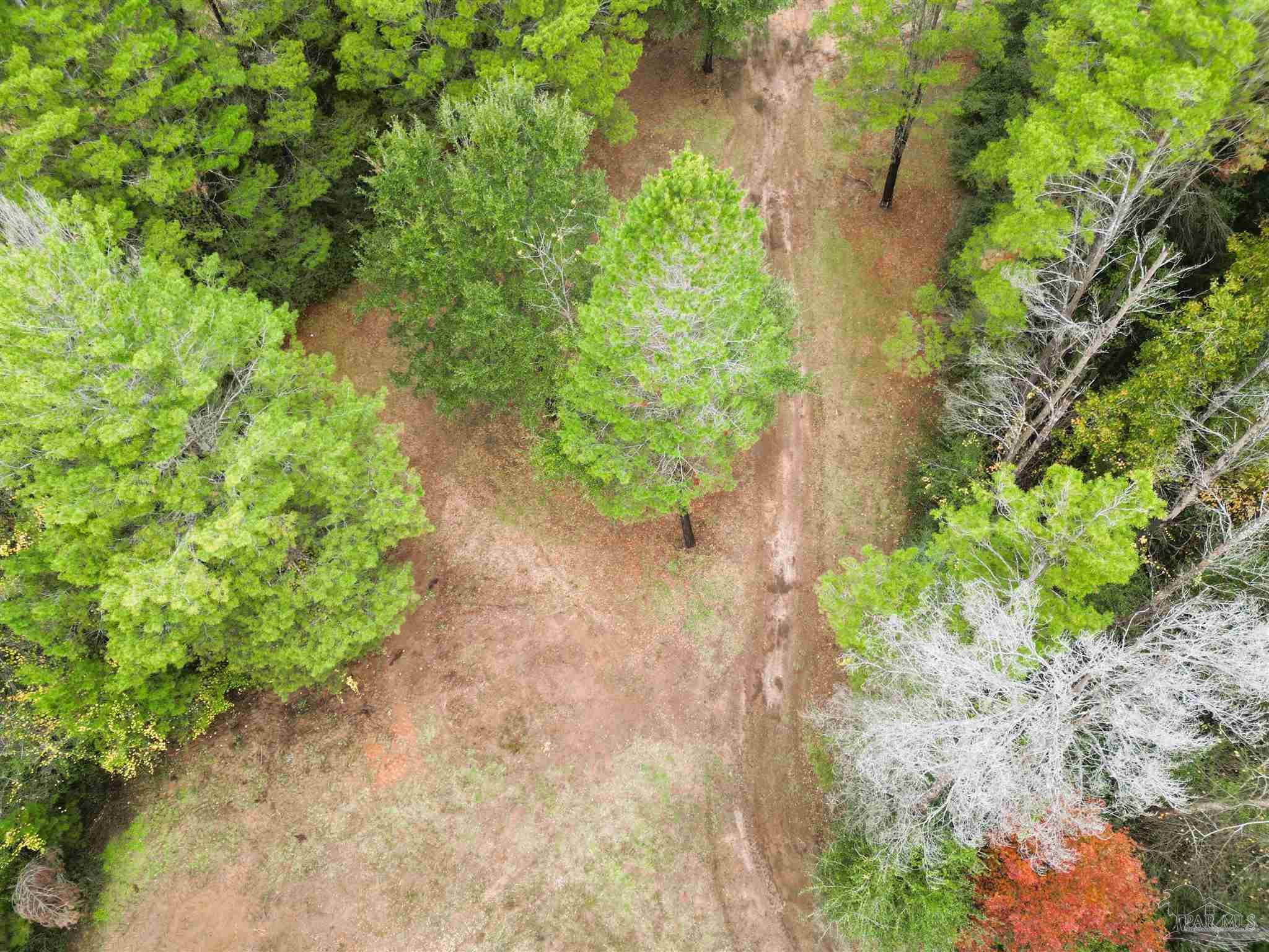 0 Oglesby Road Milton, FL 32570 - Photo 20 of 28 Gallery Image 20