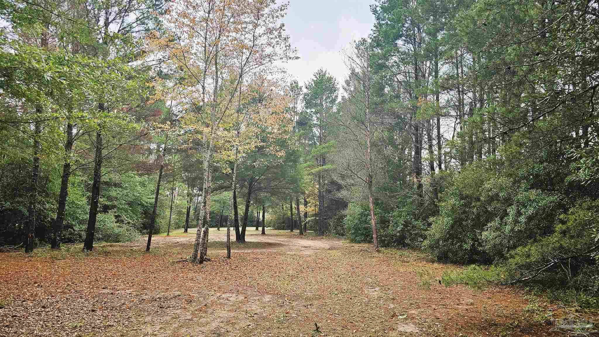 0 Oglesby Road Milton, FL 32570 - Photo 10 of 28 Gallery Image 10
