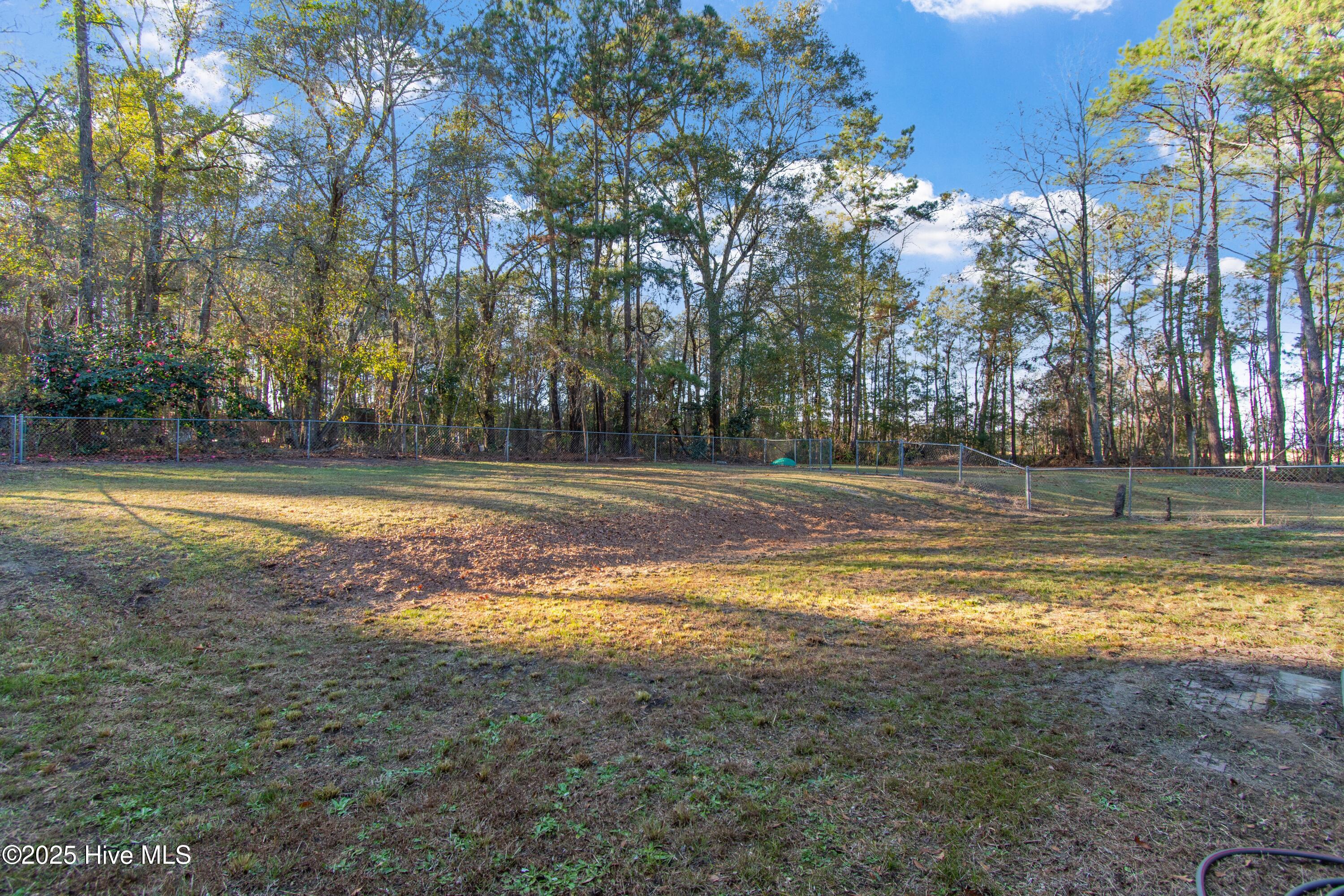 50 Irvin Enzor Road South Fair Bluff, NC 28439 - Photo 5 of 31 Back Yard w/fence