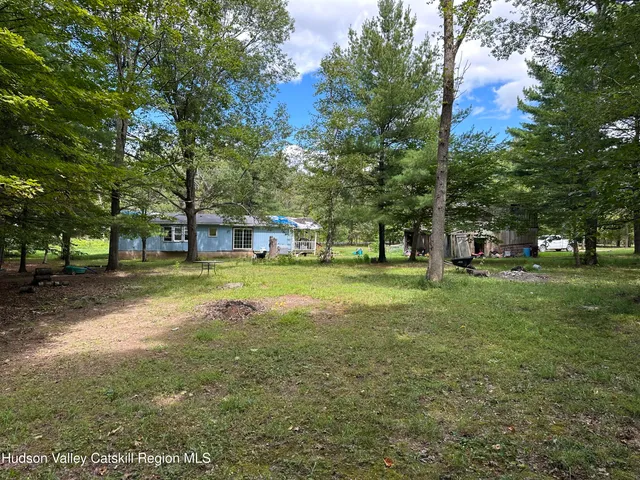 a view of yard with large trees