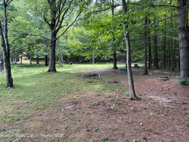 a view of a tree in a yard