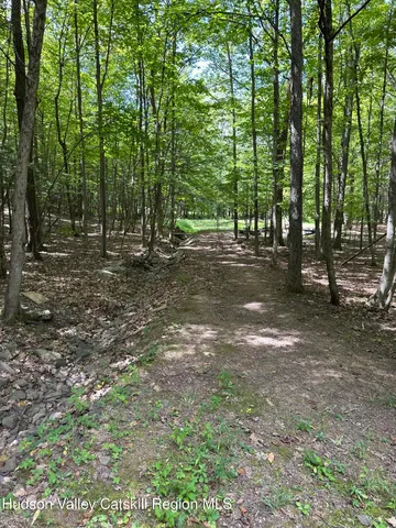 a view of a tree in a yard