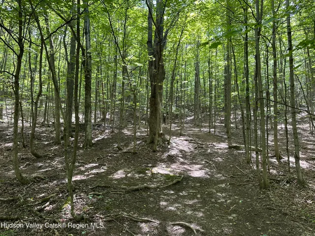 a view of outdoor space and trees