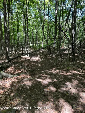 a view of outdoor space with trees