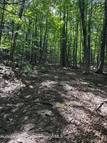 a view of a big yard with large trees