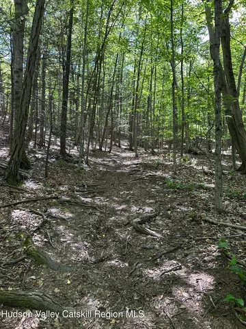 a view of a yard with a tree