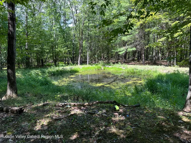 $179,000 | 811 Hervey Sunside Road, Cornwallville, NY 12418