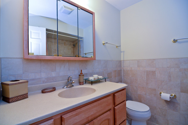 3742 Poplar Road Flossmoor, IL 60422 - Photo 16 of 20 a bathroom with a sink a toilet and a mirror