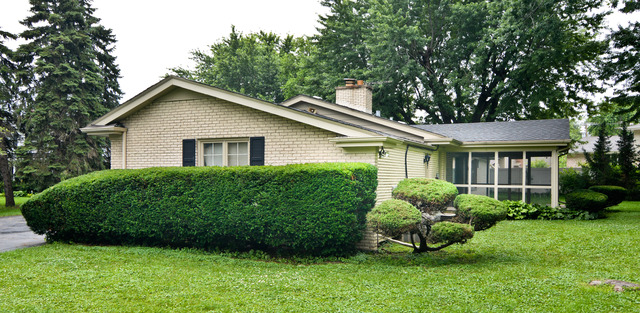 3742 Poplar Road Flossmoor, IL 60422 - Photo 4 of 20 a view of a house with a yard and potted plants