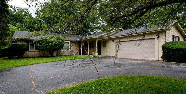 3742 Poplar Road Flossmoor, IL 60422 - Photo 5 of 20 a view of a house with a yard and a large tree