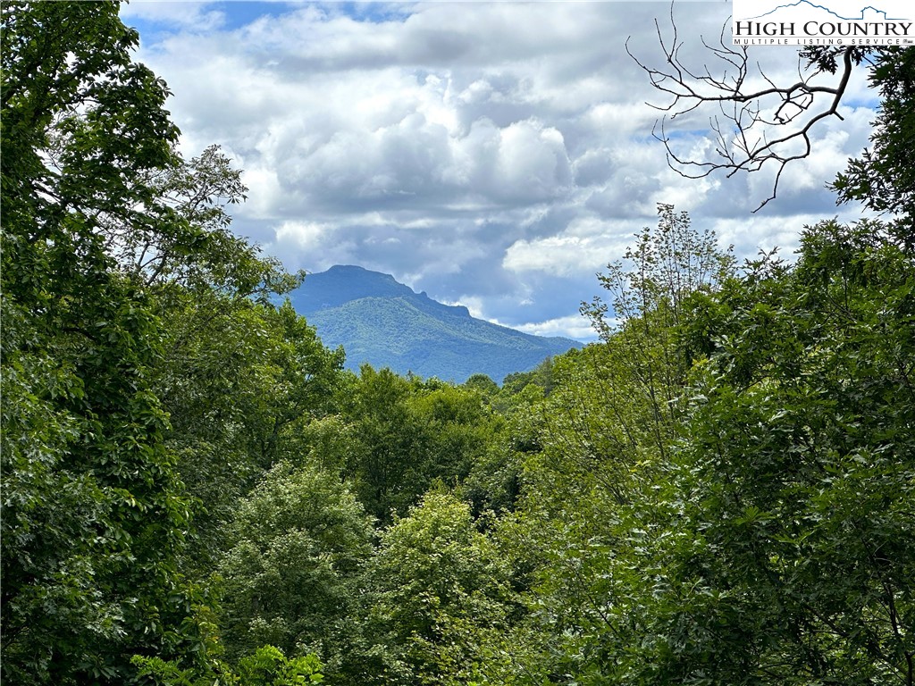 285 Wetherley Boone, NC 28607 - Photo 19 of 50