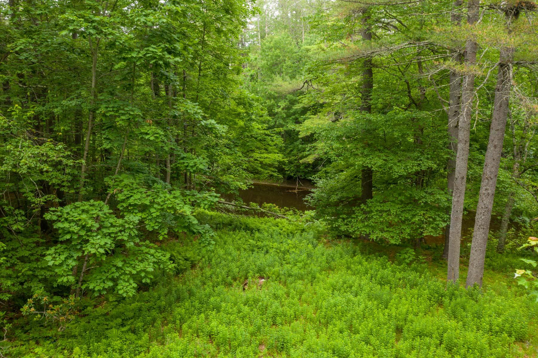 157 Emerys Bridge Road South Berwick, ME 03908 - Photo 32 of 34 Secoast-Re-Photos-32
