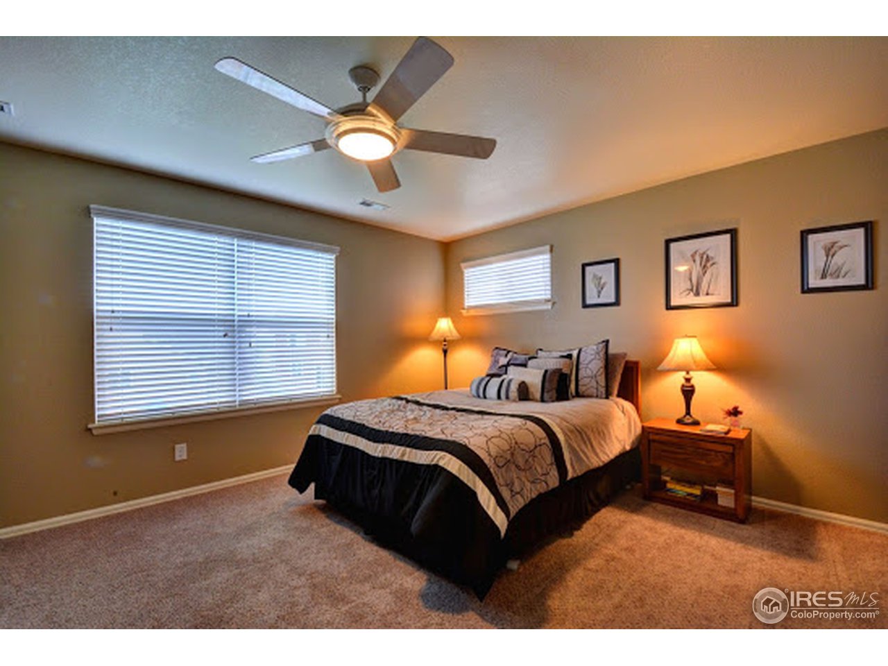 933 Trading Post Road Fort Collins, CO 80524 - Photo 16 of 25 Gallery Image 16