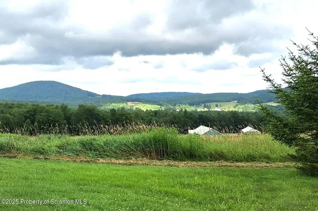 a view of outdoor space with trees