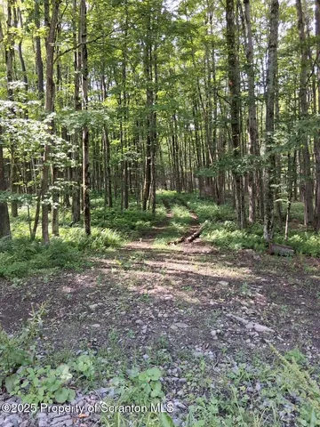 a backyard of a house with lots of green space and chair