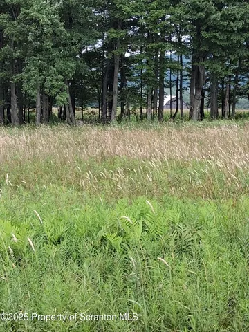 a view of a lake with a city