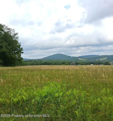 a view of an ocean and beach