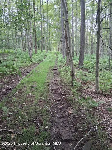 a view of wooden wall