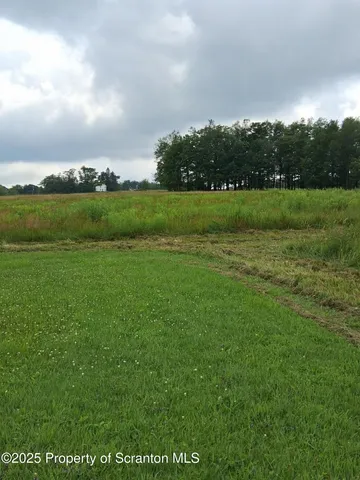 a view of a big yard with lots of green space