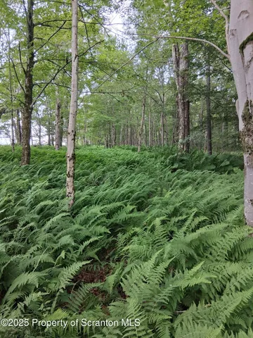 a view of a yard with an outdoor space