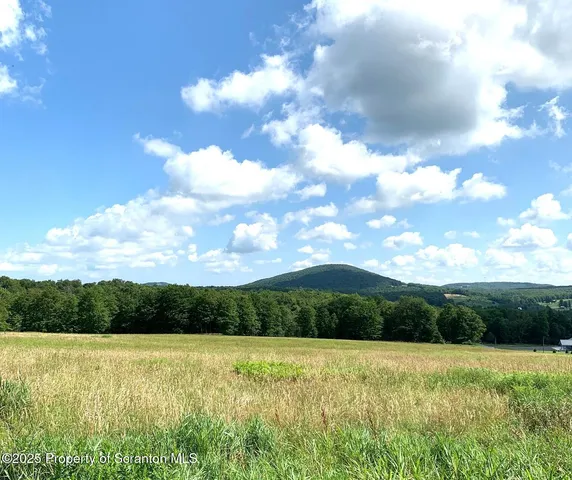 a view of an ocean from a yard
