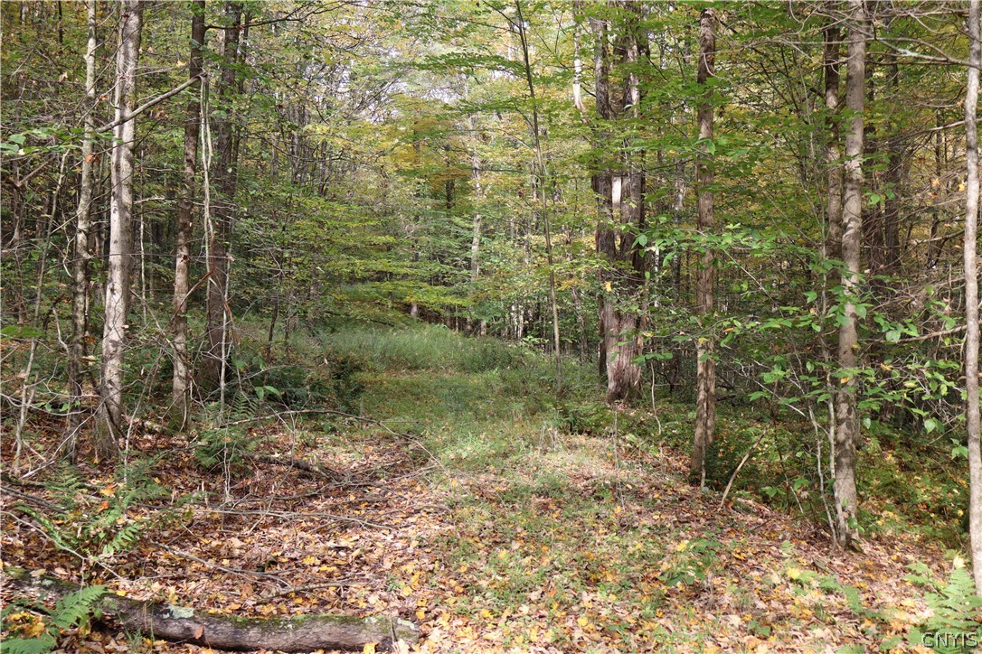 Lawrence Road Windsor, NY 13865 - Photo 18 of 31 Gallery Image 18