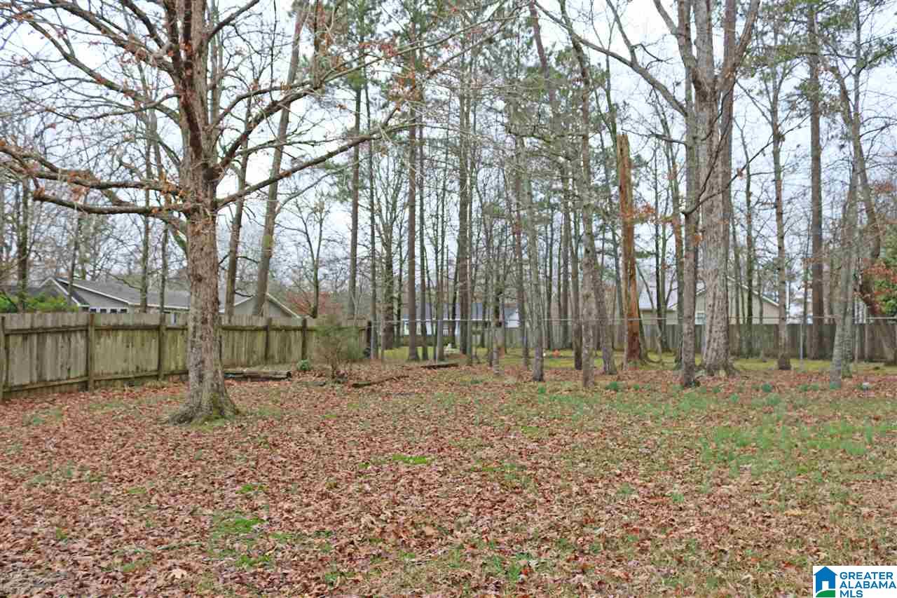 204 Carousel Corner Rainbow City, AL 35906 - Photo 23 of 23