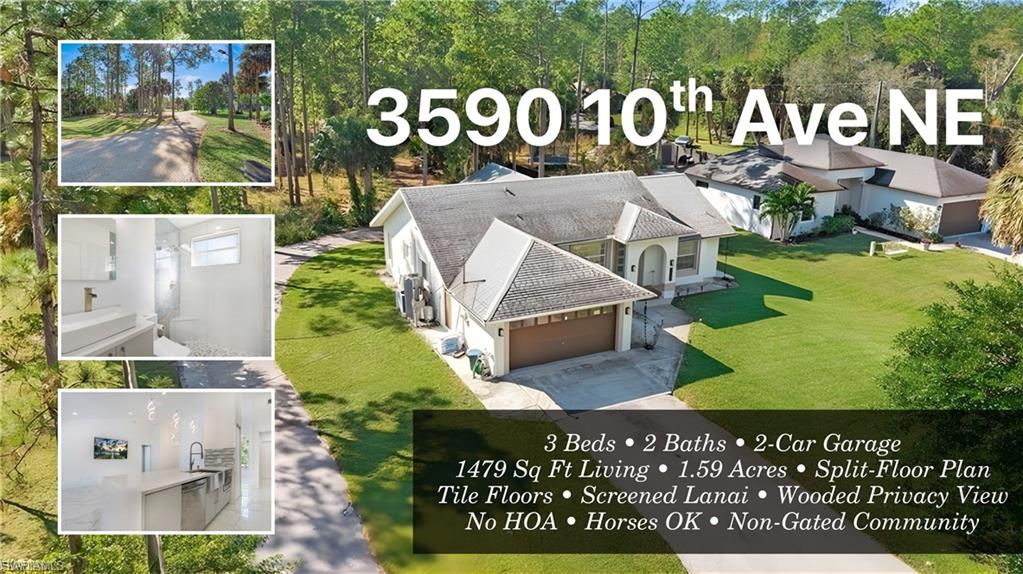 View of a document with multiple images