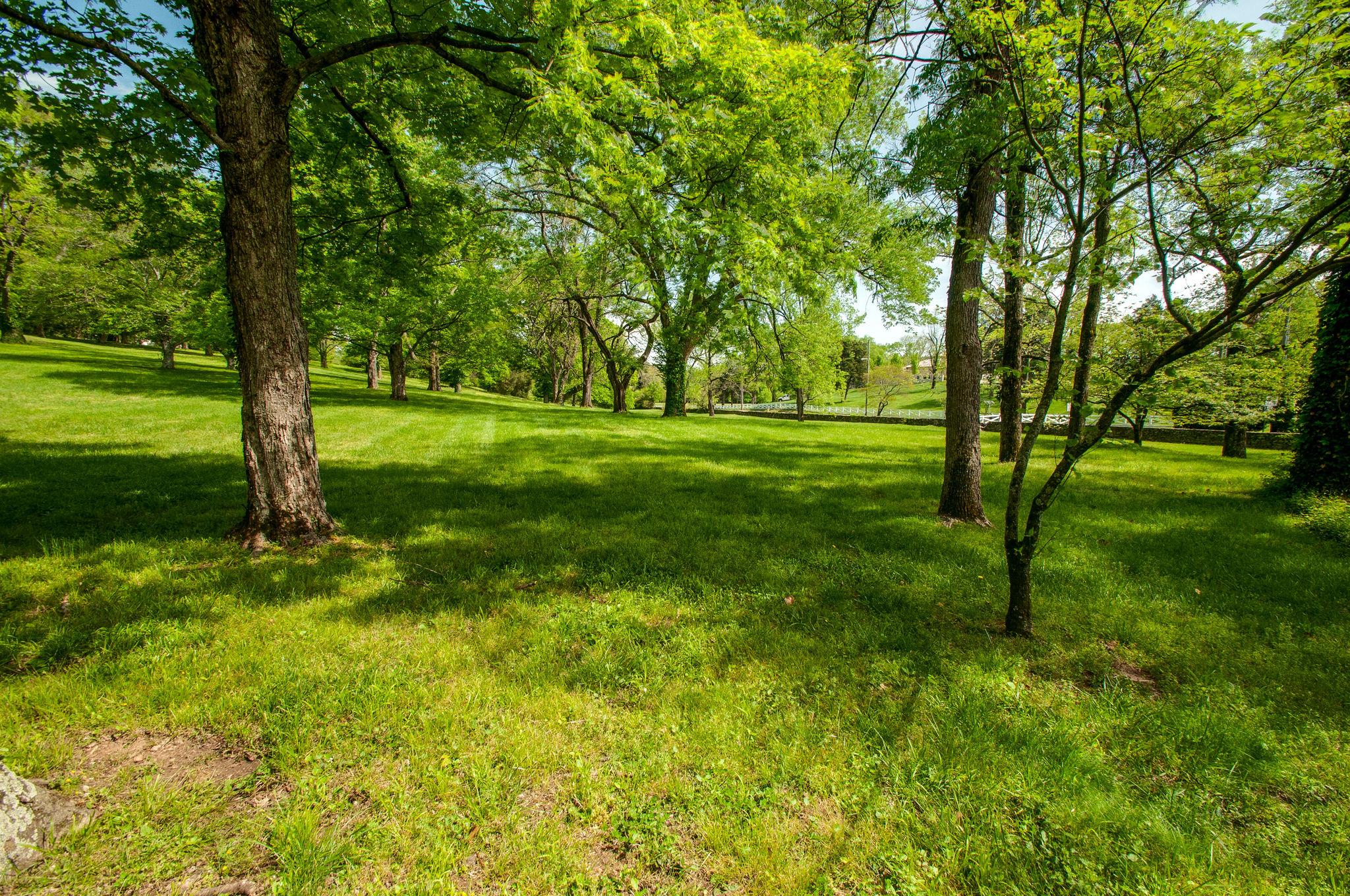 4737 Post Road Nashville, TN 37205 - Photo 4 of 30 a view of a trees with a yard
