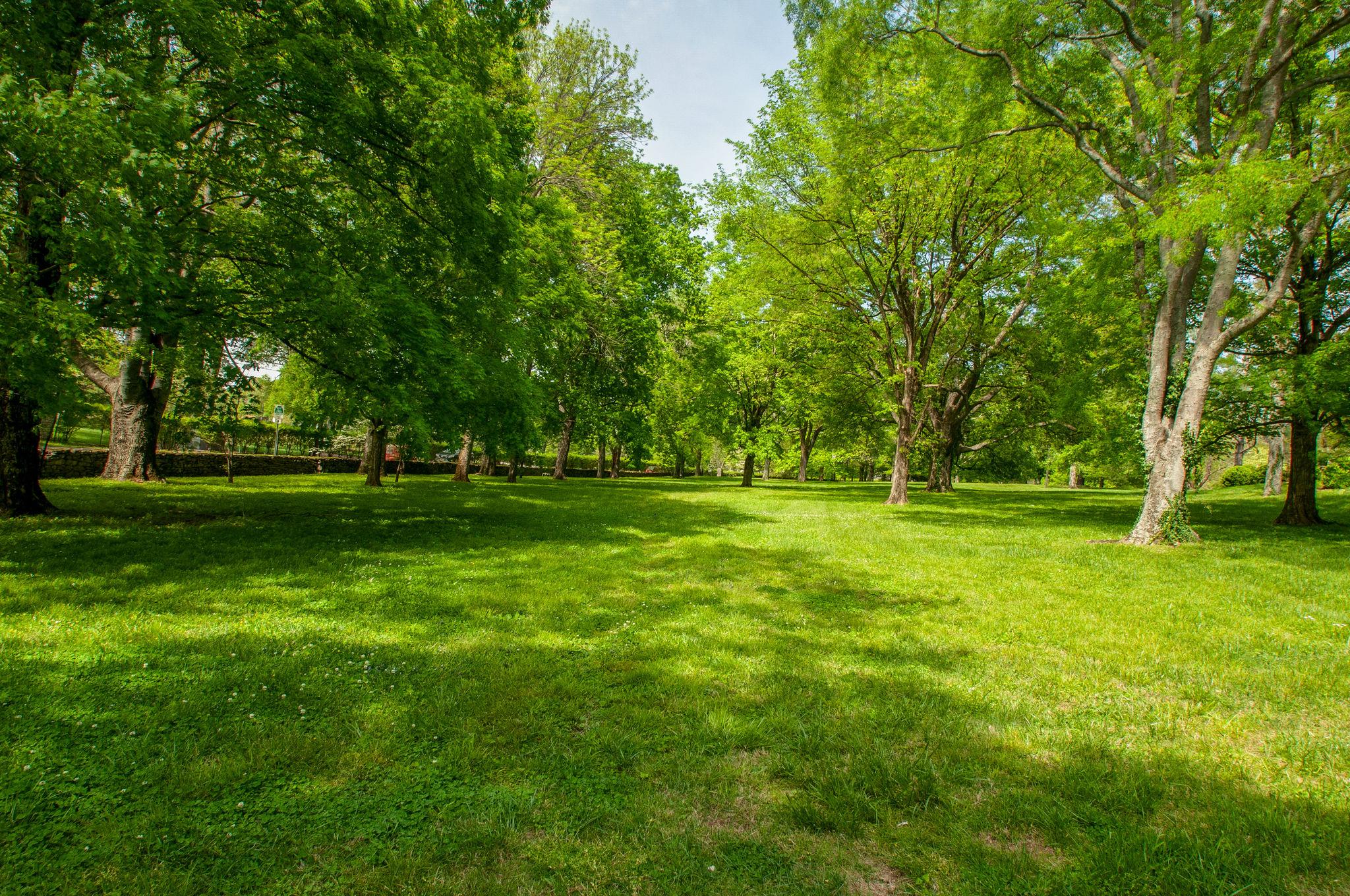 4737 Post Road Nashville, TN 37205 - Photo 6 of 30 a view of grassy field with benches