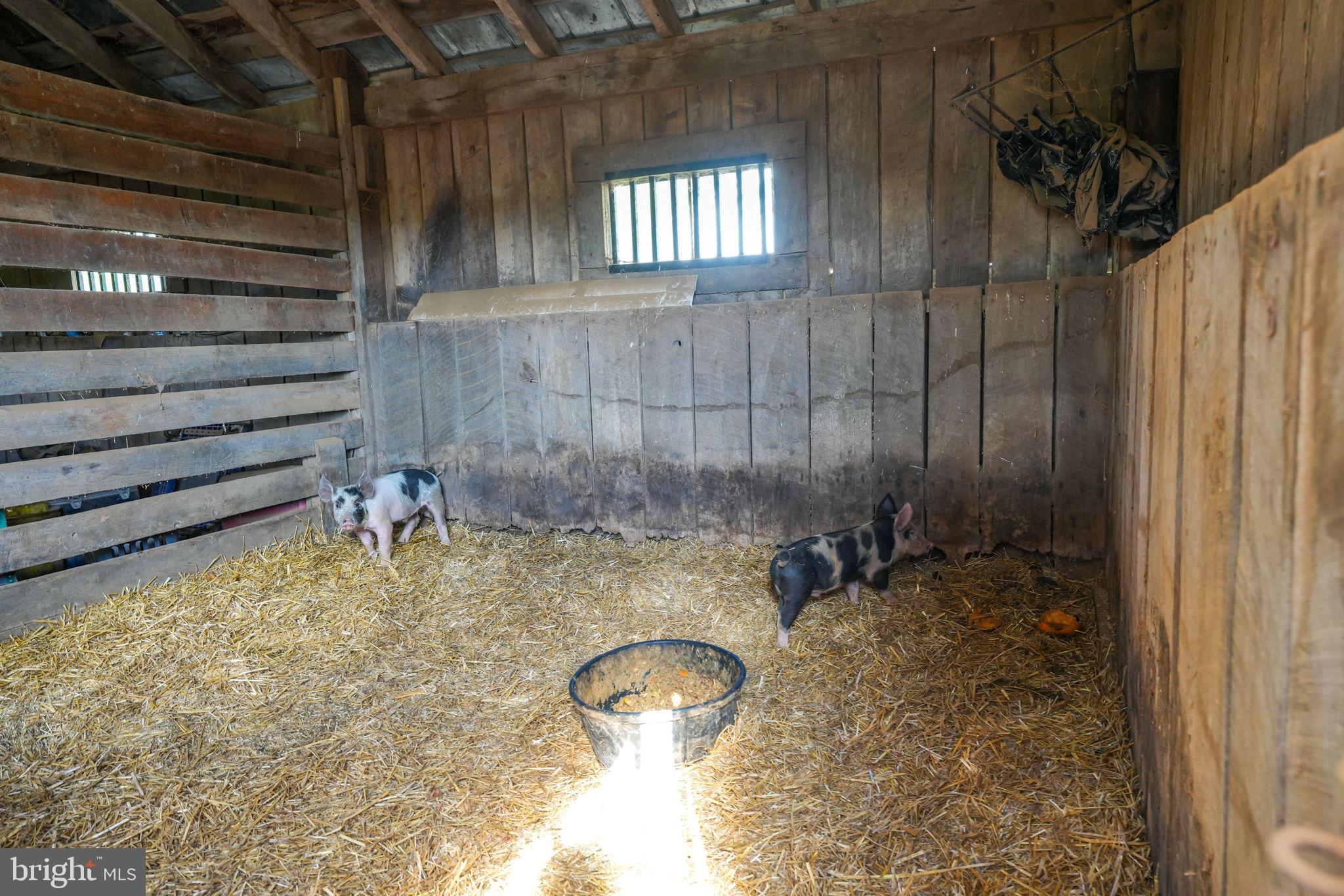 8511 Leeds Manor Road Warrenton, VA 20186 - Photo 32 of 36 a bathroom with a sink