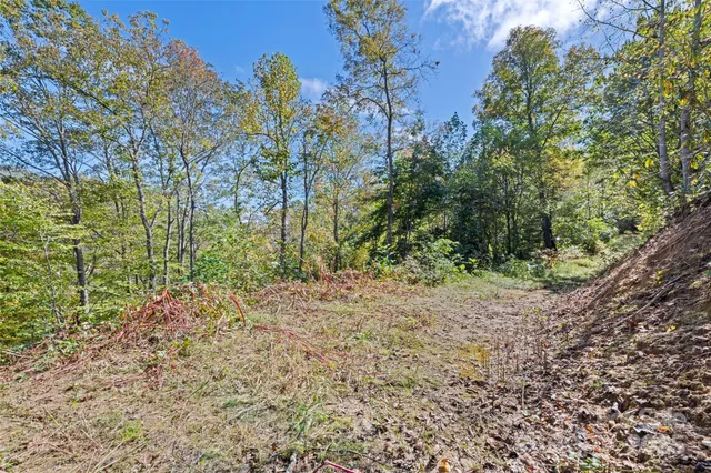 $195,000 | 16 Harleys Cove, Waynesville, NC 28785