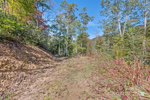 $195,000 | 16 Harleys Cove, Waynesville, NC 28785