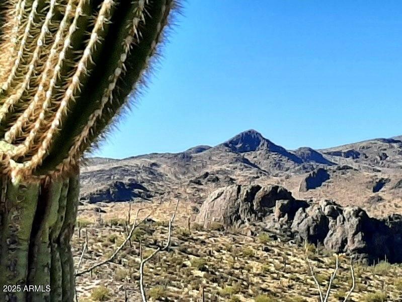 4 North Hardt Tank Road, Unit 4K Gold Canyon, AZ 85118 - Photo 2 of 27 image000005 (2)