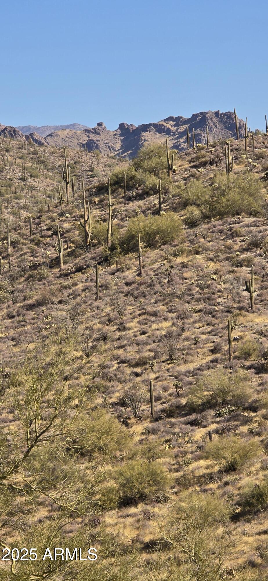 4 North Hardt Tank Road, Unit 4K Gold Canyon, AZ 85118 - Photo 27 of 27 1000002748