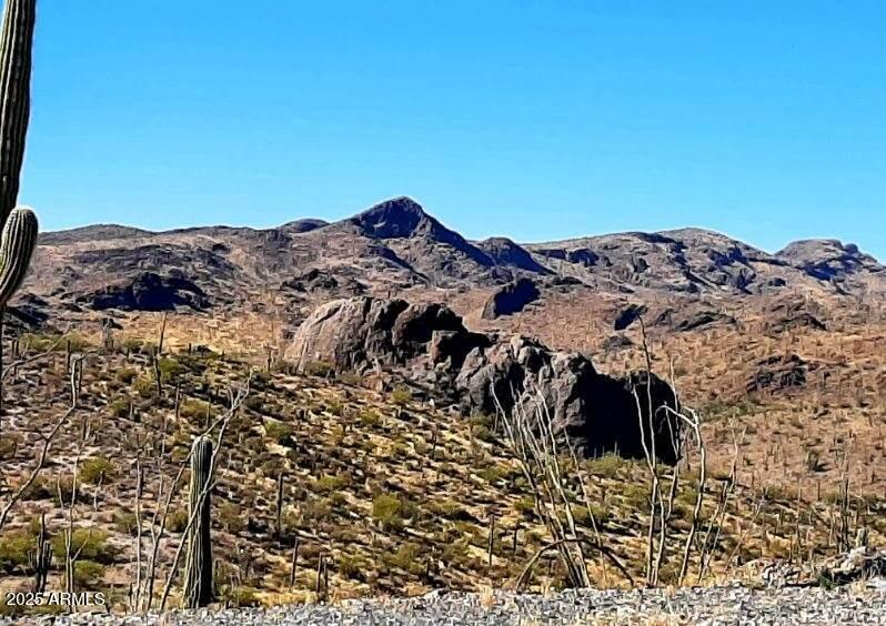 4 North Hardt Tank Road, Unit 4K Gold Canyon, AZ 85118 - Photo 3 of 27 image000000