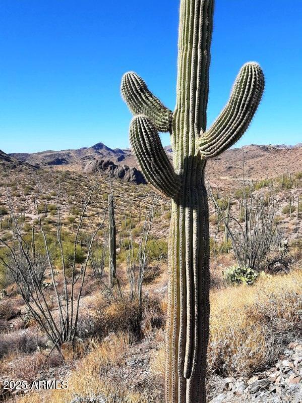 4 North Hardt Tank Road, Unit 4K Gold Canyon, AZ 85118 - Photo 6 of 27 image000004