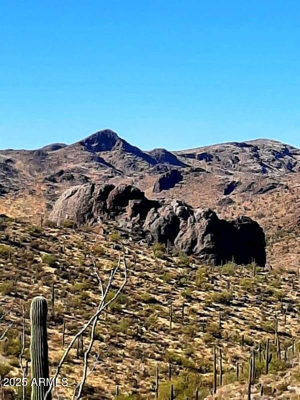 4 North Hardt Tank Road, Unit 4K Gold Canyon, AZ 85118 - Photo 7 of 27 image000006